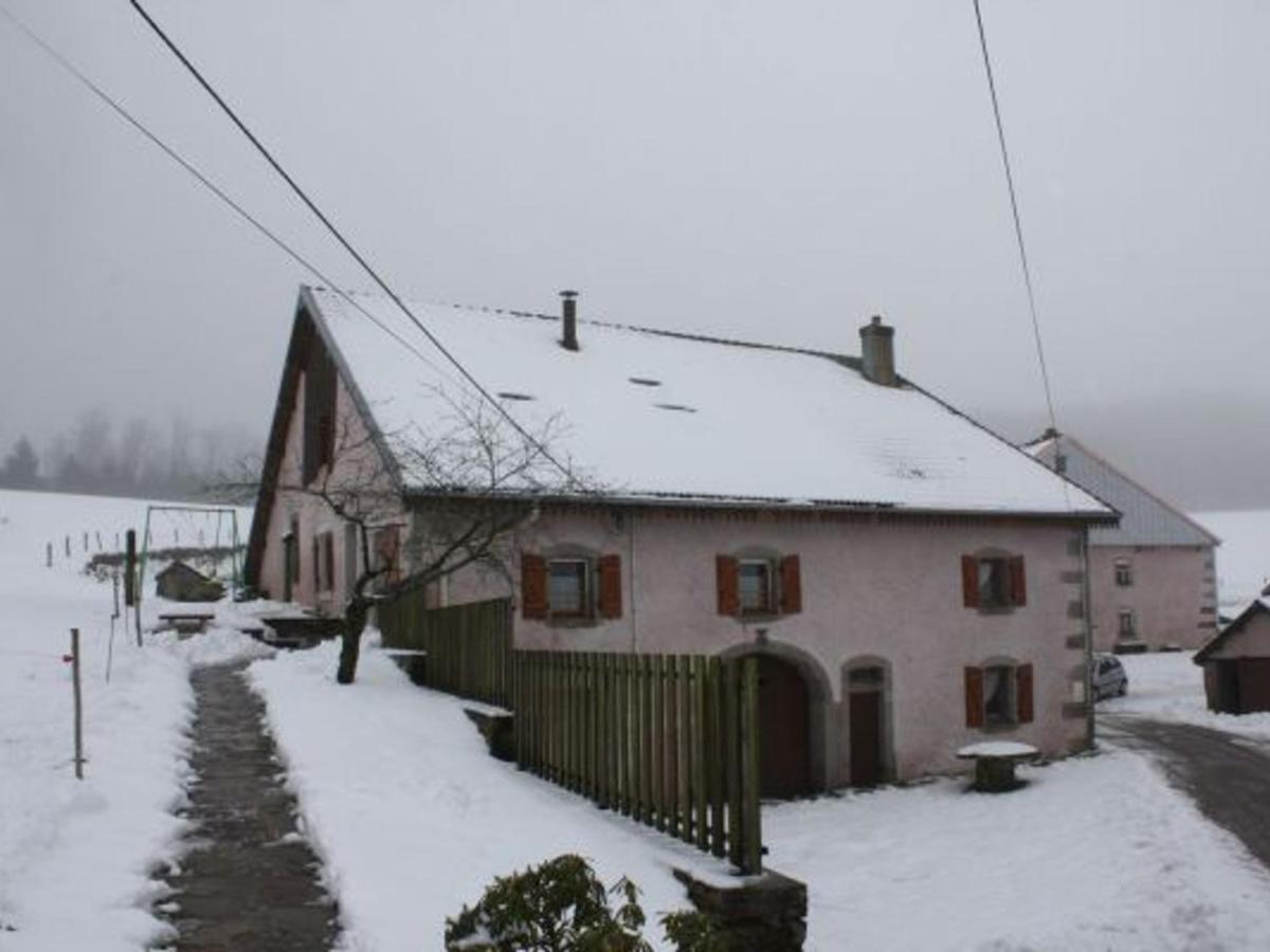 Gite Paisible A 650M D'Alt., Nature, Cheminee, 3 Ch. Pres De Remiremont & Plombieres, Terrasse, Grand Terrain - Fr-1-589-50 Girmont-Val-dʼAjol Eksteriør bilde